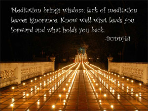 Meditation brings wisdom; lack of meditation leaves ignorance. Know ...
