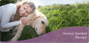 home animal healing courses animal assisted therapy course