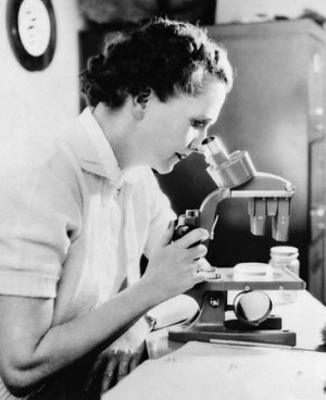 The importance of Rachel Carson's works?