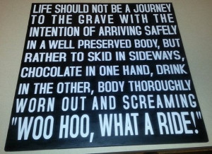 WOO HOO, What a ride Sign