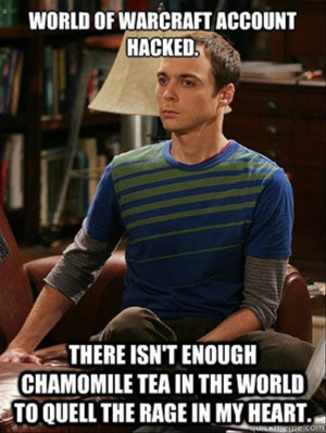 world of warcraft, funny pictures, sheldon cooper