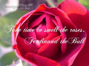 Take Time to Smell the Roses Quote