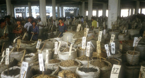 Bozhou Herb Market, China. Photo by: Chris Kilham © 2011