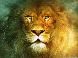 beautiful lions desktop wallpaper download beautiful lions wallpaper ...