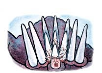 In the Daniel 7 prophecy, what happens next?