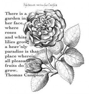 Campion Rose - $10.89 Gorgeous rose stamp with a quote by Thomas ...
