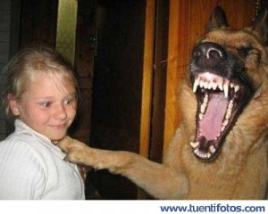 Descargar imagen a tu ordenador