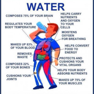 The importance of water!
