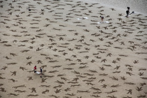 Day 2013: 9,000 Fallen Soldiers Etched into the Sand on Normandy ...