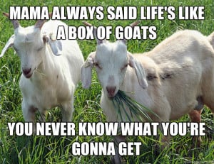 Funny Goat Quotes