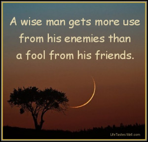 Baltasar Gracian Quotes A wise man gets more use from his enemies than ...