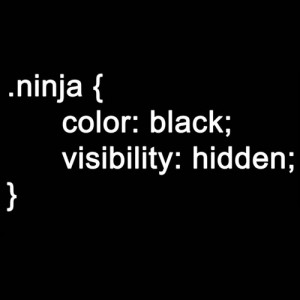 HTML Ninja Code by Teevolution