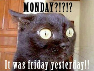 Pinned by Heather Gordon