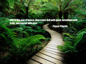 Way Of Peace, Overcome Evil With Good, Falsehood With Truth And Hatred ...