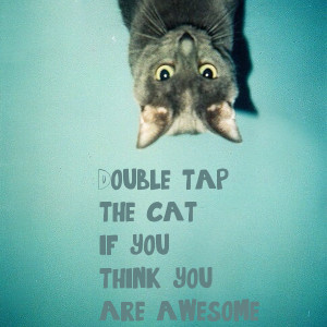 Double Tap The Cat You...