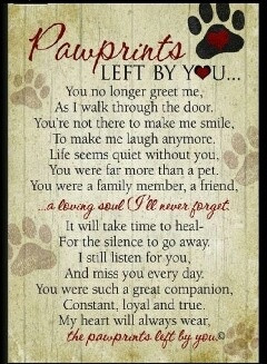 Hardest part of losing a doggie.