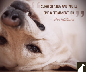funny dog cat quotes that reveal their true roles