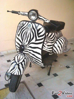 Zebra Bike Funny Picture Which is Humorous and This Customized Bike ...