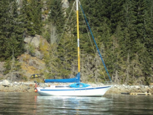 endurance 35 for sale in delta british columbia