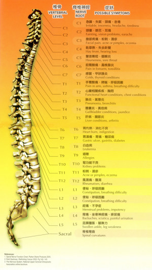 Spinal Health