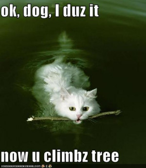 You have read this article cats with the title funny cat quotes . You ...