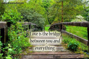 Love is the bridge between you and everything - Rumi