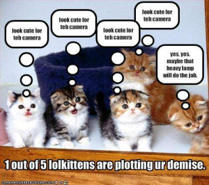 Name: funny-pictures-one-kitten-plots-your-demise.jpgViews: 1619Size ...