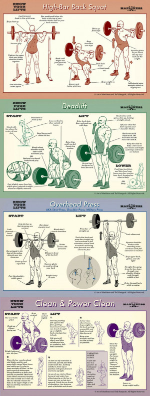 Squats, Crossfit Power Lift, Clean And Press Barbell, Barbell Squat ...