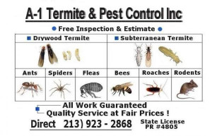 Pest Control Termite Control Bed Bugs And Pest Fumigation In Macon