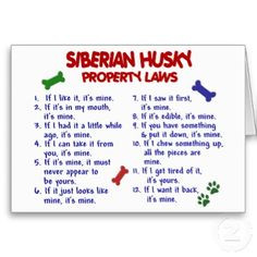 siberian husky quotes More