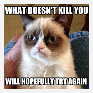 ASK A QUESTION Game: Funny grumpy cat quotes?