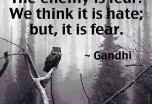 ... Wallpapers > Mahatma Gandhi Quote The Enemy is Fear not Hate