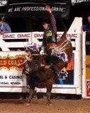 Tuff Hedeman Graphics | Tuff Hedeman Pictures | Tuff Hedeman Photos