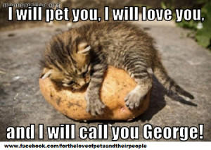 Grumpy Cat Pumpkin Loves Grandma Meme