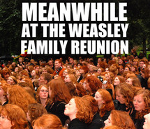 freckles, funny, ginger, gingers, harry potter, red hair, redheads ...
