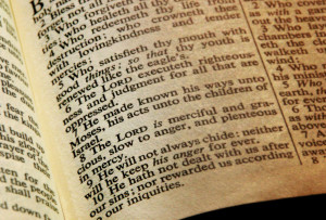 Posted by Hannah at 02:22