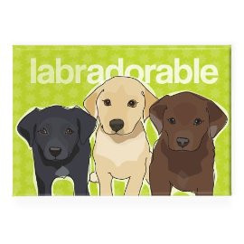 ... Refrigerator Magnets with Funny Sayings, Labrador Retriever Gifts