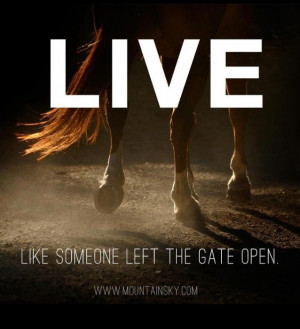 ... Inspiration, Gates Open, Horses Quotes, Hors Quotes Living Love Riding