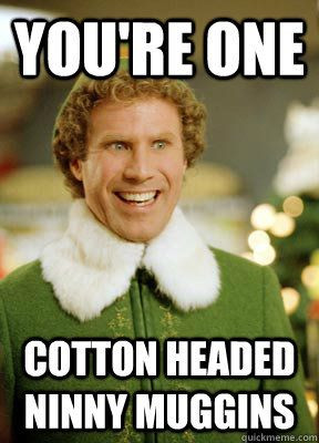 You're one Cotton Headed Ninny Muggins - Buddy the Elf - quickmeme