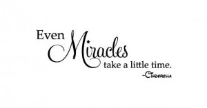 Cinderella Vinyl Quote: Even Miracles Take a Little Time. - Disney ...
