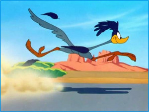 Road Runner : PICTURES page
