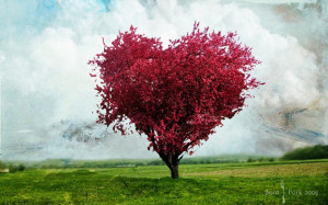 Love Heart Tree Nature Background HD Wallpaper. We provides free to ...
