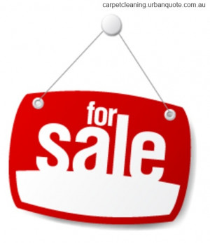 Why are there so many carpet cleaning business for sale? There are ...