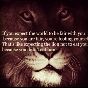 Lion/quote