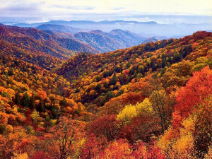 Smokies-Fall_001.jpg