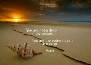 You are not a drop in the ocean. You are the entire ocean, in a drop.