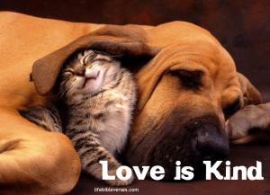 Bible Verses about love. Love is Kind | Life Bible Verses