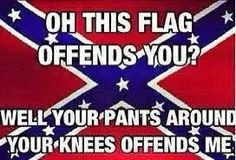 Rebel flag. No I'm not racist. Just agree with the statement. More
