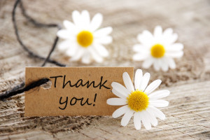 Thank You Cute Flowers Wallpaper Image
