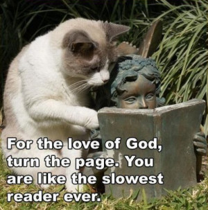 impatient-reader-cat